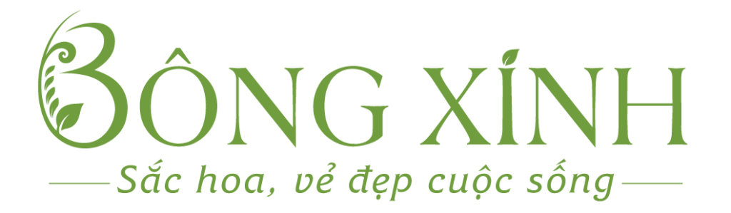 Hoa Tươi Bông Xinh
