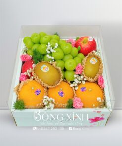Hộp Trái Cây 005